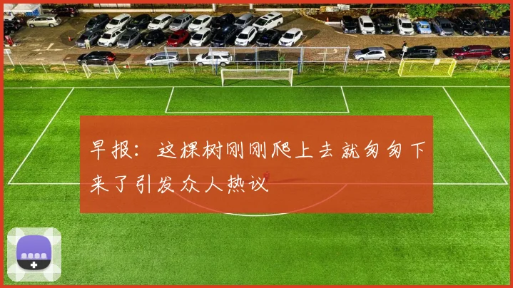 早报：这棵树刚刚爬上去就匆匆下来了引发众人热议