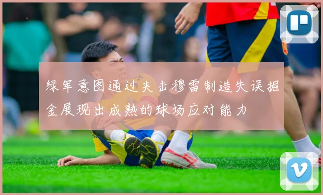 绿军意图通过夹击穆雷制造失误掘金展现出成熟的球场应对能力